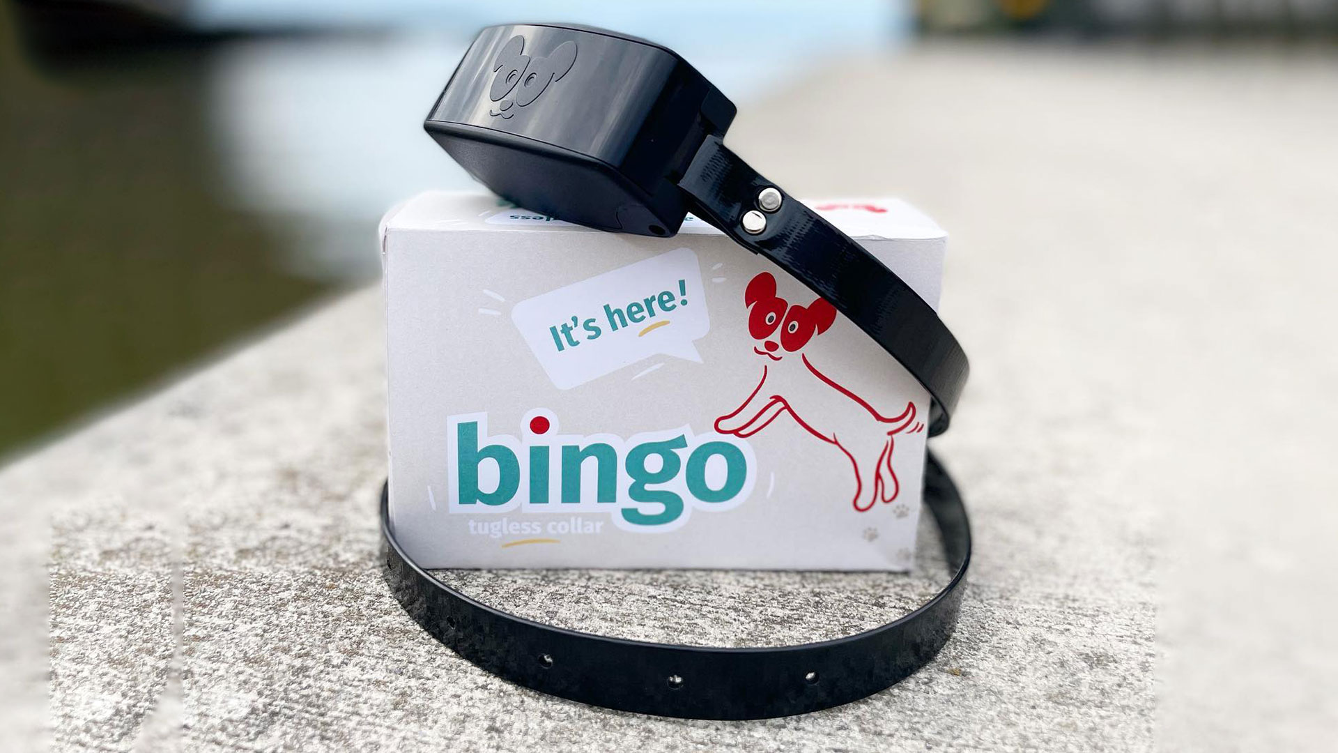 bingo-banner