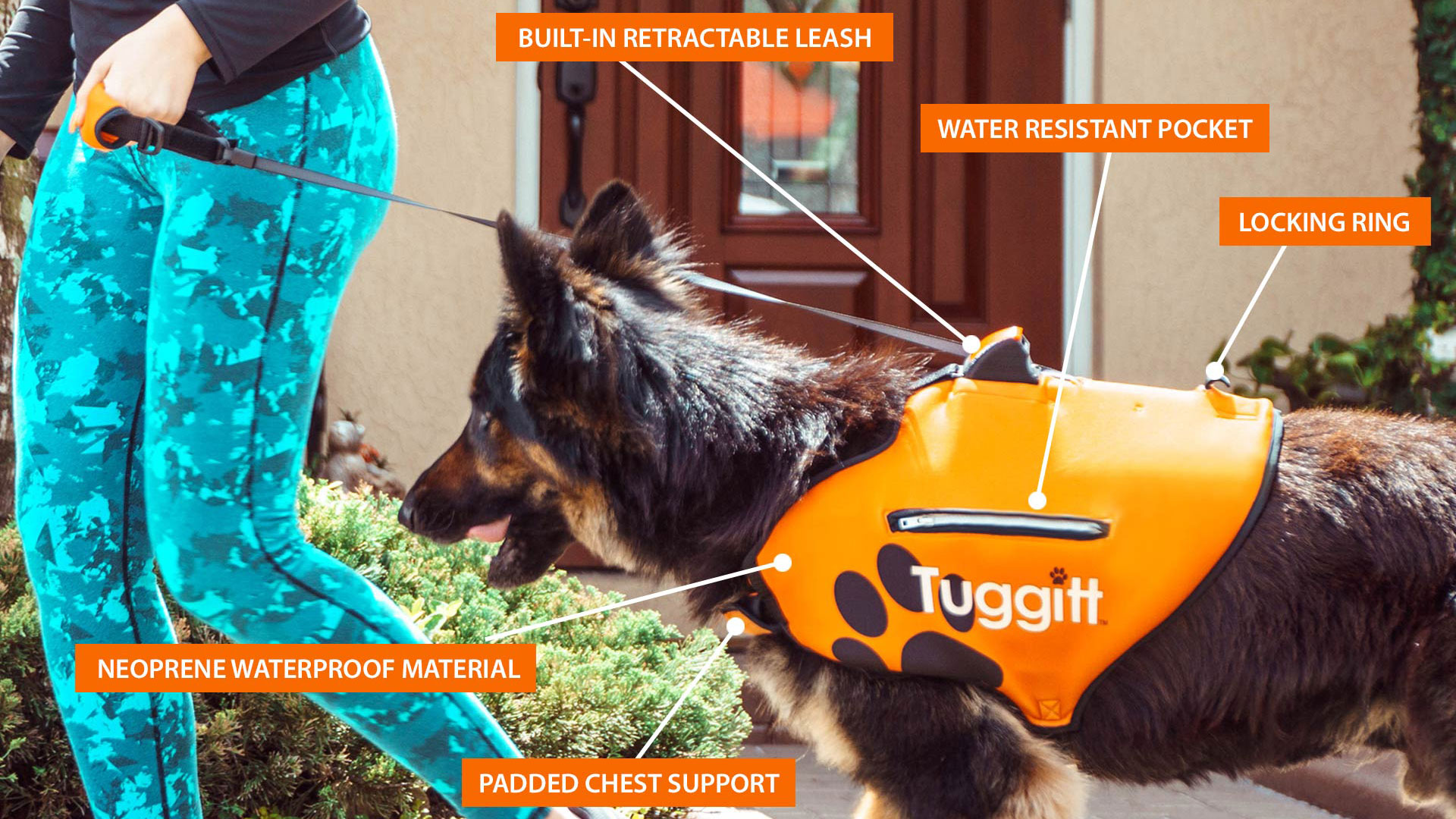 tuggitt-dog-harness
